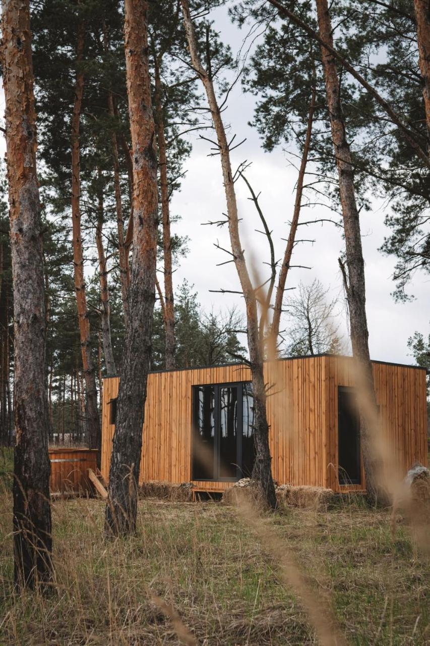 Hotel Shelest Wyschhorod